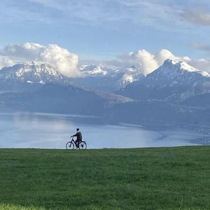 国产免费自拍视频
