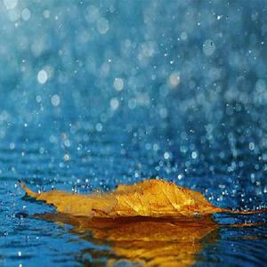 国产免费自拍视频
